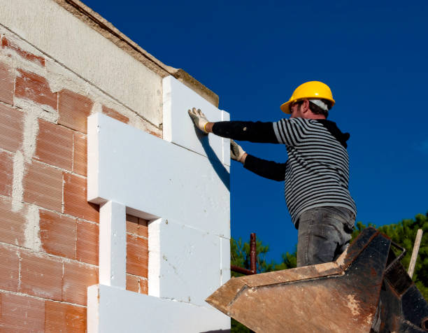 Best Insulation Maintenance and Repair in Spanish Springs, NV
