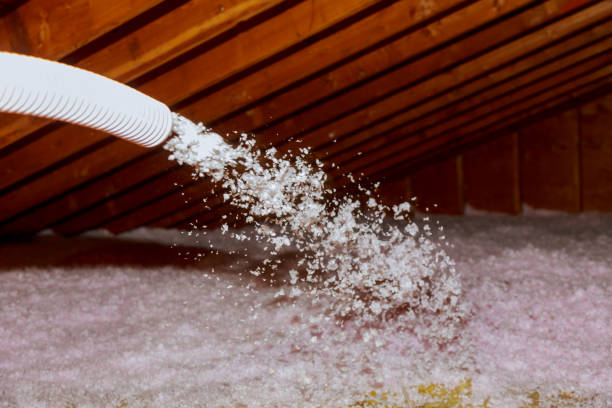 Professional Insulation Contractor in NV