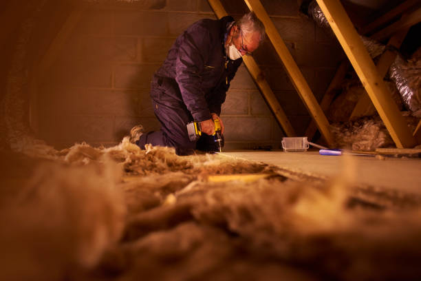 Best Insulation for Specific Applications in Spanish Springs, NV